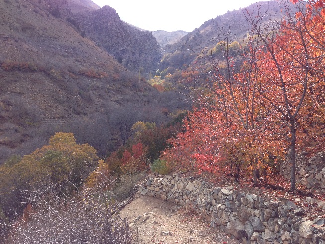 صعود به قله توچال از مسیر دره ایگل - طبیعت پاییزی دره ایگل