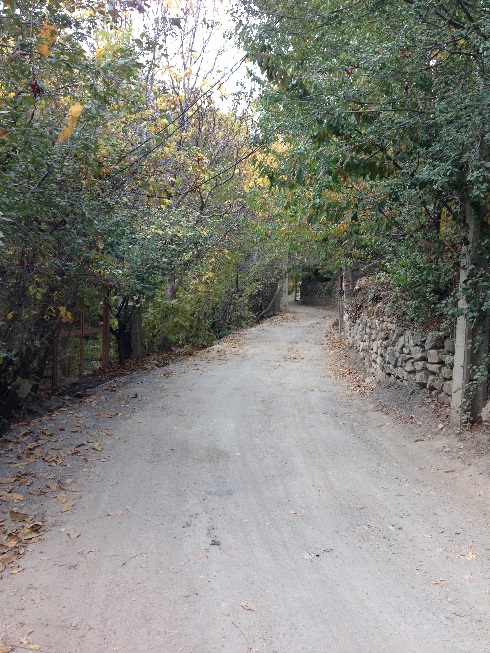 صعود به قله توچال از مسیر دره ایگل - نمایی از طبیعت زیبای دره ایگل