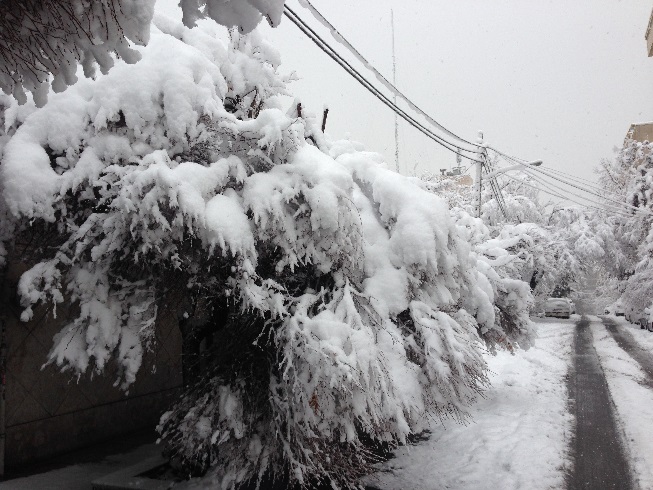 طبیعت بالاخره دست های بخشنده خود را گشود