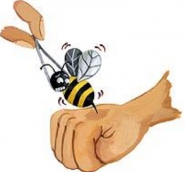 کاش صاحبان نیش های انسانی، سرنوشت زنبورها را داشتند