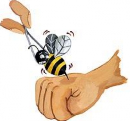 کاش صاحبان نیش های انسانی، سرنوشت زنبورها را داشتند