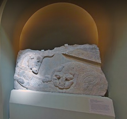 نبرد بی پایان انسان برای زندگی