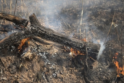 سوخت ریشه ی منِ انسانُ انسانیت من