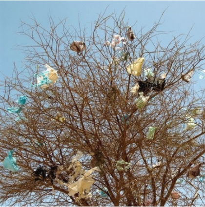 طبیعت در تسخیر آلودگی های انسان ساخته