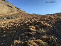 گزارش یازدهمین صعود به قله توچال در سال 1400