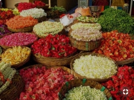 عاشقانه ها – ای یار، ای نوازشگر دل صبح
