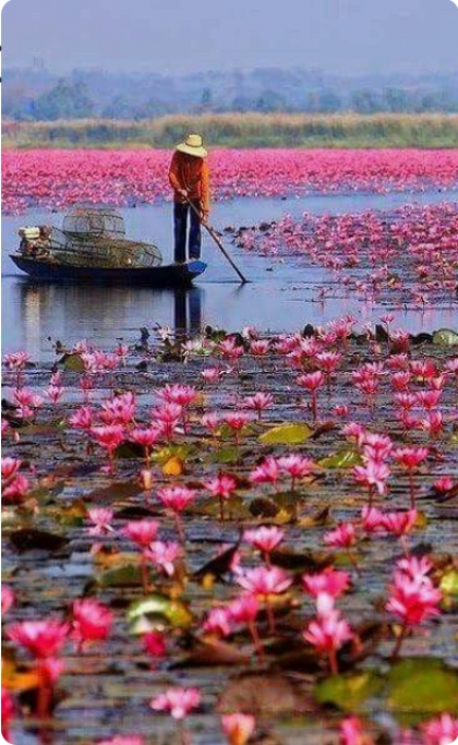 جاده خاکی های دل