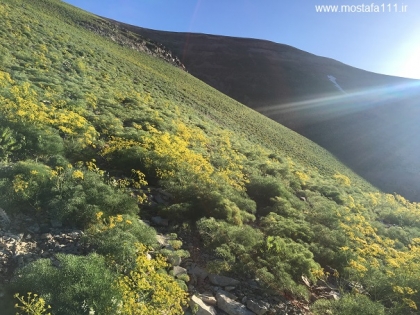 4th) صعود 1400 به توچال، از مسیر سنگ سیاه