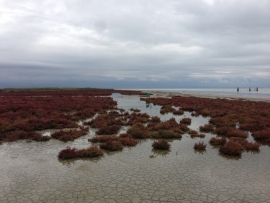 سر و تن وا نهادم، پشت درب عاشقی
