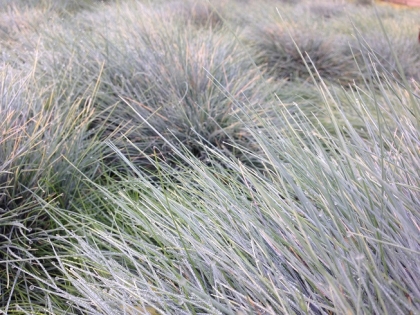 دلم آشوب، آرامش و من، بسان جن و بسم الله است دایم