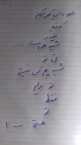 تحیّر چون مرغی بُوَد که از مأوای خود بشود به طلب چینه، و چینه نیابد و دیگربار راه مأوی نداند