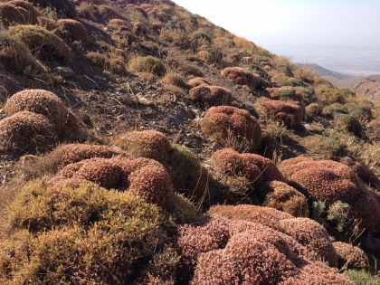 صعودی در زادگاه سید محمود طالقانی و جلال آل احمد