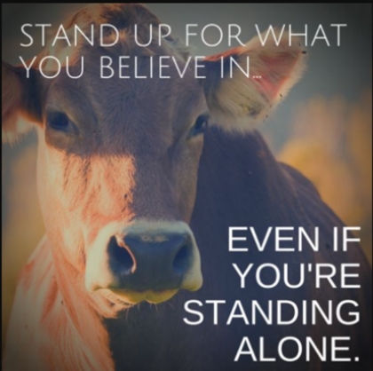 زندگی نه، سرکردن با ترکه‎ ی مرگی هر دم