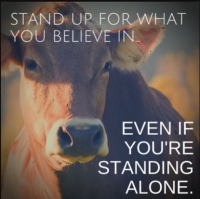 زندگی نه، سرکردن با ترکه‎ ی مرگی هر دم