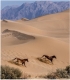 عاشقانه ها - زنده به وعده وصال