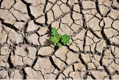 سیزده فروردین، روز دریافتن اینکه انسان تنها بخشی از طبیعت است