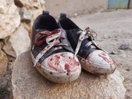 دشت پرچی کابل، هزاره ها، و ناقوس پیاپی مرگ و جنایت مسلمانان