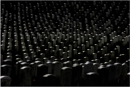 ریزش برگ های نو به نو، تابوت ها از آمدن نمی مانند