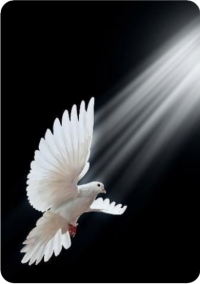 برای من روز مادر همان روزیست که تو در ذهنم موج می زنی