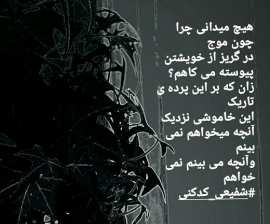 زین چنگ زند، چنگ به دل های مست